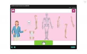 4ª Aula EI03EO05 - Jardim II - O corpo humano