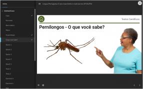 Língua Portuguesa - 3º Ano - MANCHETES E NOTÍCIAS